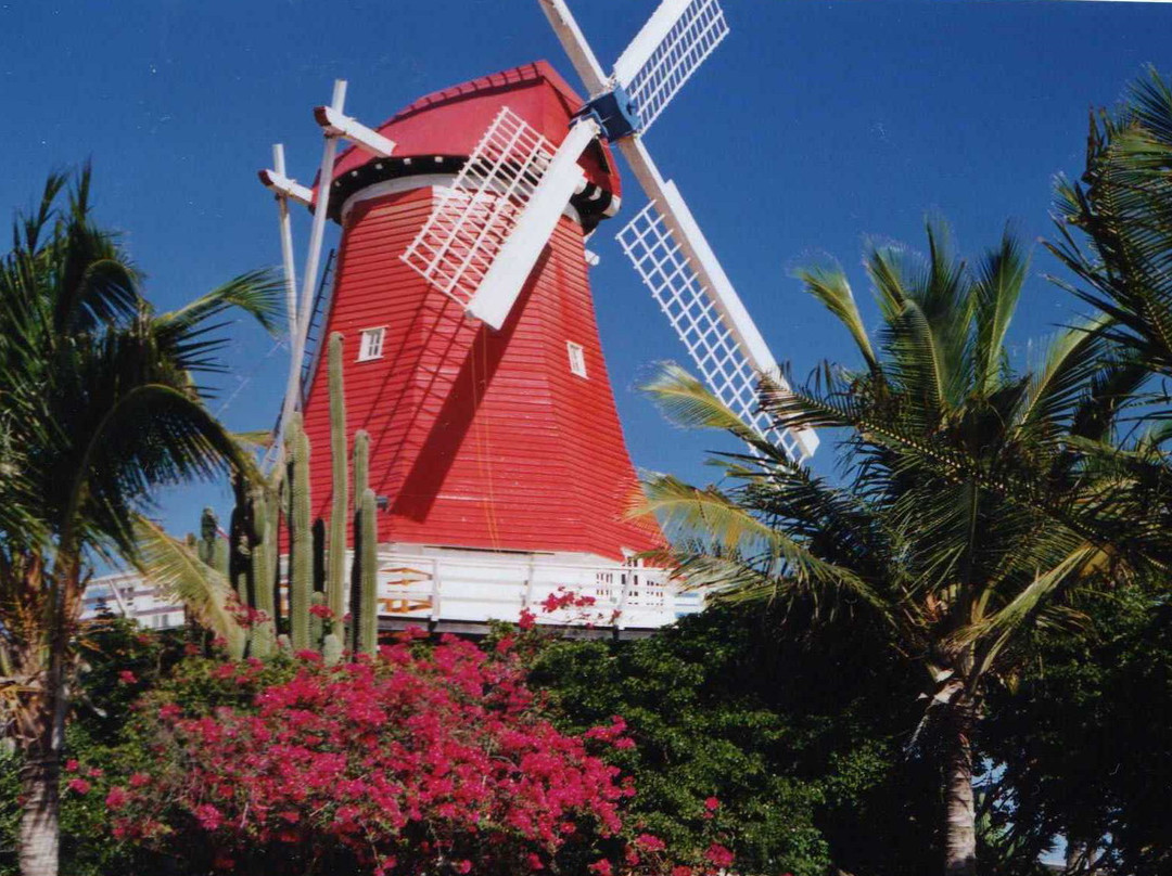 The Old Mill-Noord必去景点