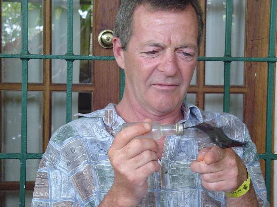 罗克兰兹鸟类保护区-Wiltshire必去景点