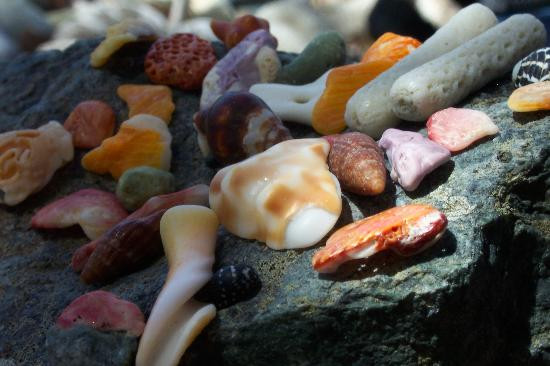 Salt Pond Bay-维尔京群岛国家公园必去景点