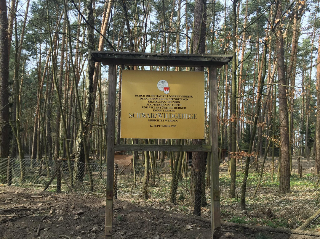 Wildschweingehege (Wild Pig Enclosure)-菲尔特必去景点