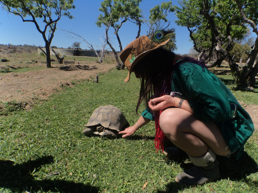 Afriventures Trails-Great Brak River必去景点