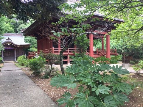 GARDEN MAZMUSHI COFFEE