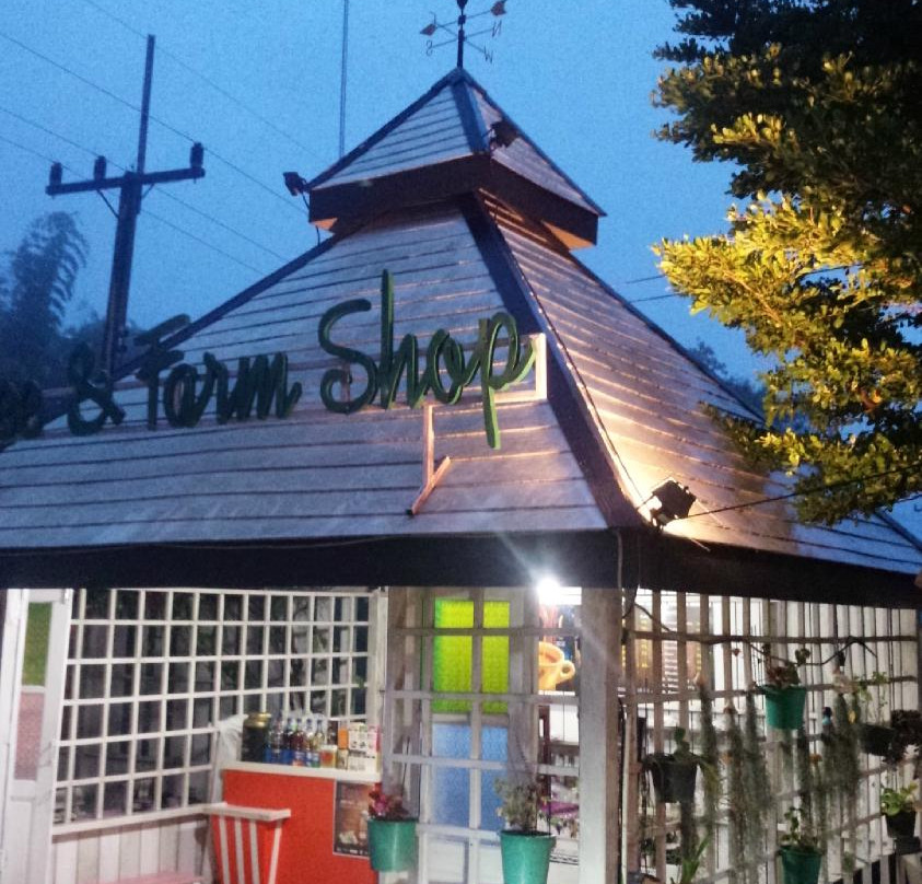 Ban Khlong Hok Wa旅游攻略图片