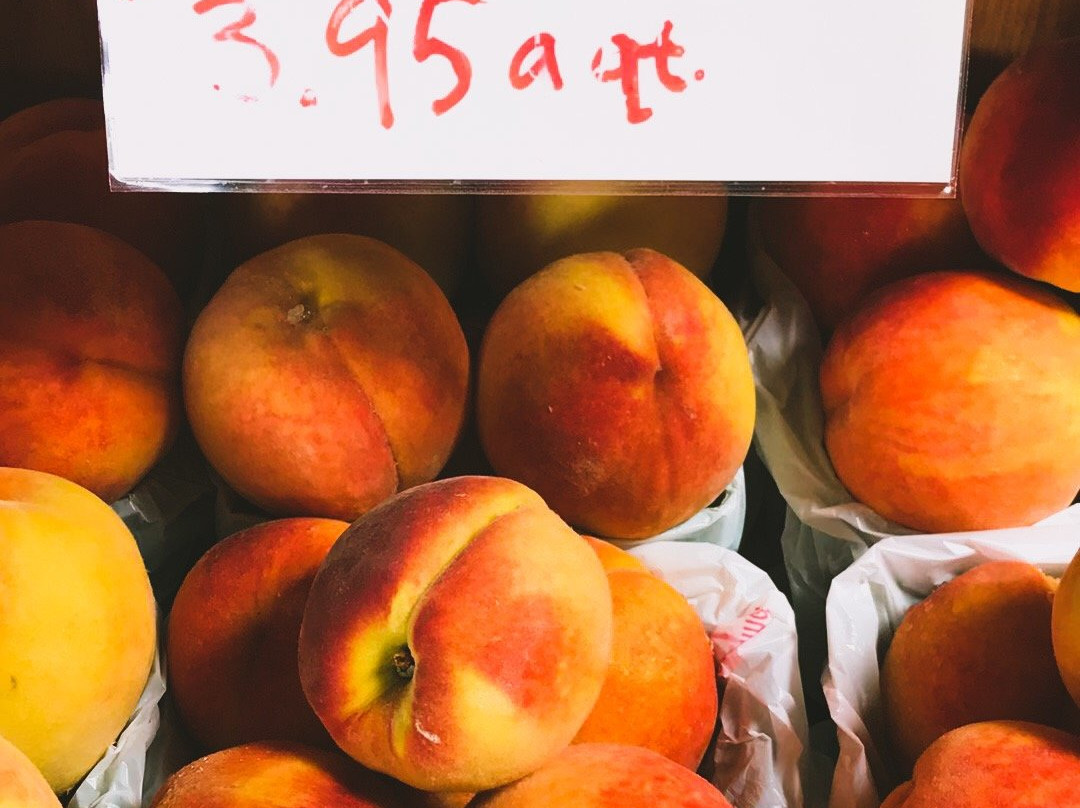 Kissel Hill Fruit Farm-利蒂茨必去景点