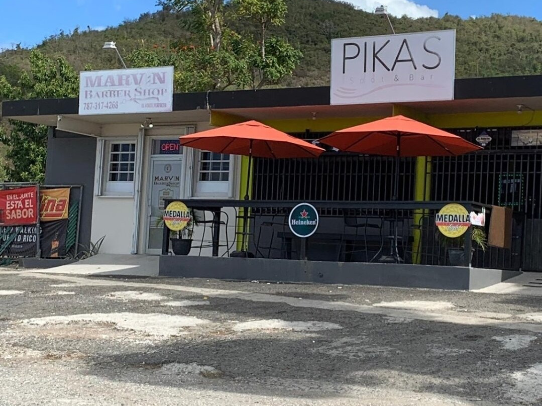 Pika's Spot & Bar