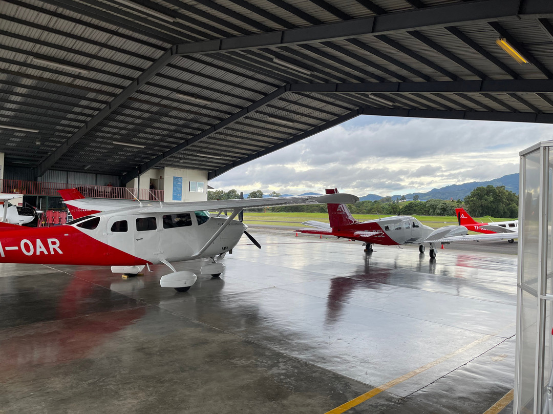 Walter's Transfers and Tours-Atenas必去景点