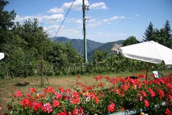 Casa La Quercia-客卧