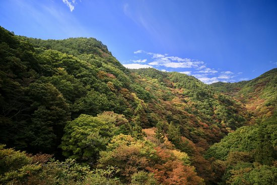 Momiji Bridge-北斗市必去景点