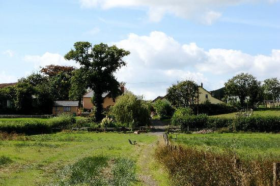 Higher Cadham Farm