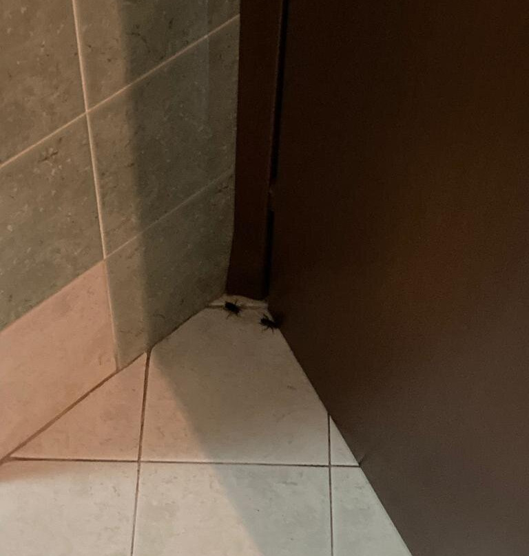 Cannone D'oro Albergo主图