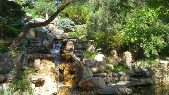 山林博物馆&花园-华盛顿特区必去景点