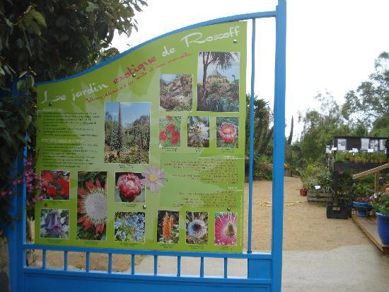 Jardin Exotique et Botanique de Roscoff-罗斯科夫必去景点