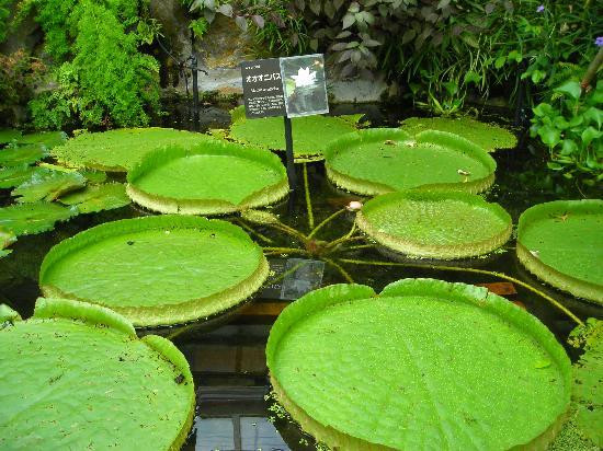 Fukuoka City Zoological Garden景点图片