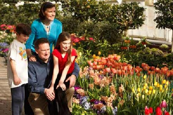 Buffalo and Erie County Botanical Gardens-水牛城必去景点