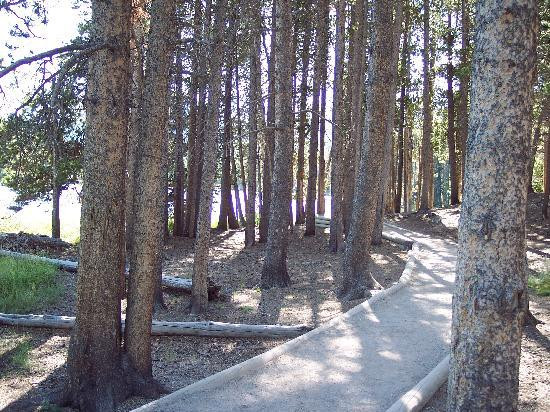 Sprague Lake景点图片