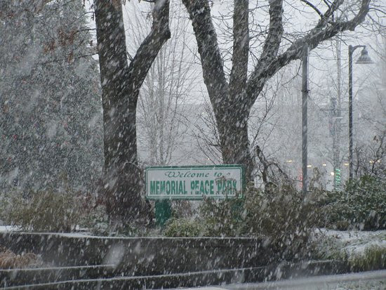 Memorial Peace Park-枫树岭必去景点