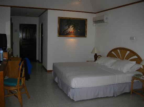 熊利桑那野生动物园-威廉姆斯必去景点