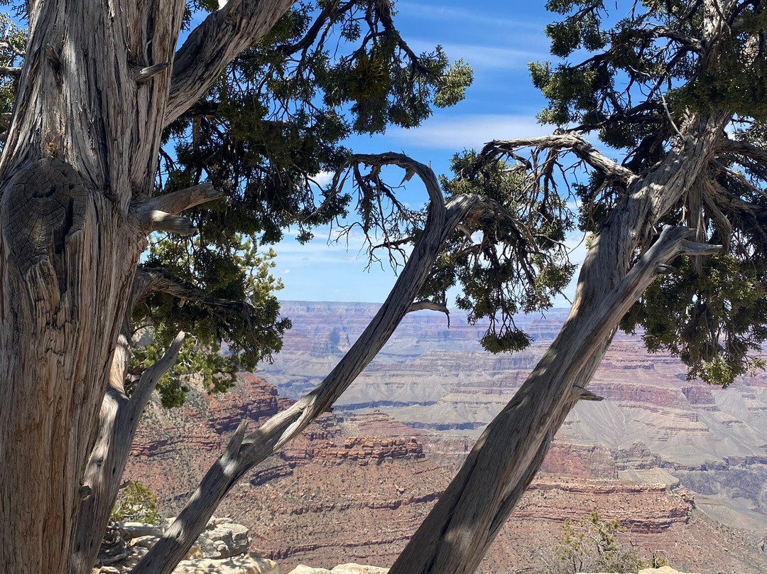 Grand Canyon Jeep Tours & Safaris-图萨扬必去景点