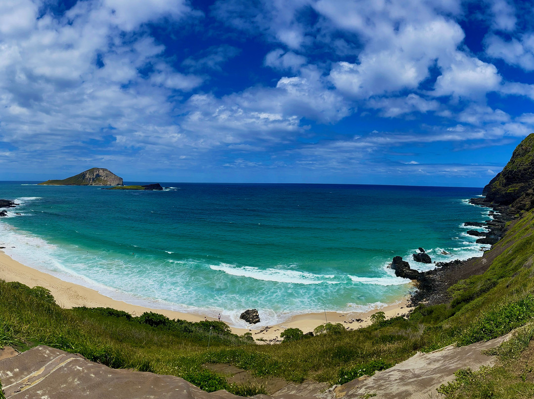 O'ahu Hawaii Tandem Paragliding-威玛纳诺必去景点