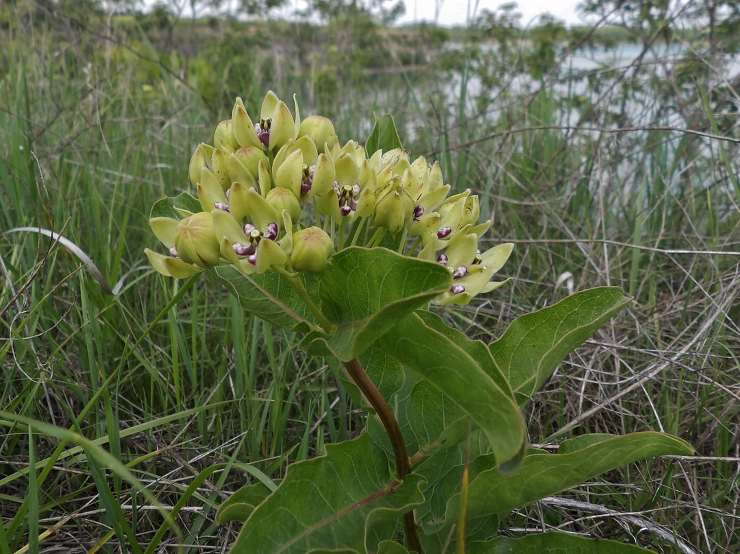 Lehigh Portland Trails-艾奥拉必去景点