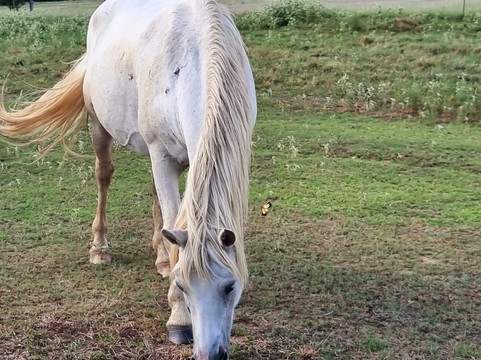 Mowdy Ranch-Coalgate必去景点