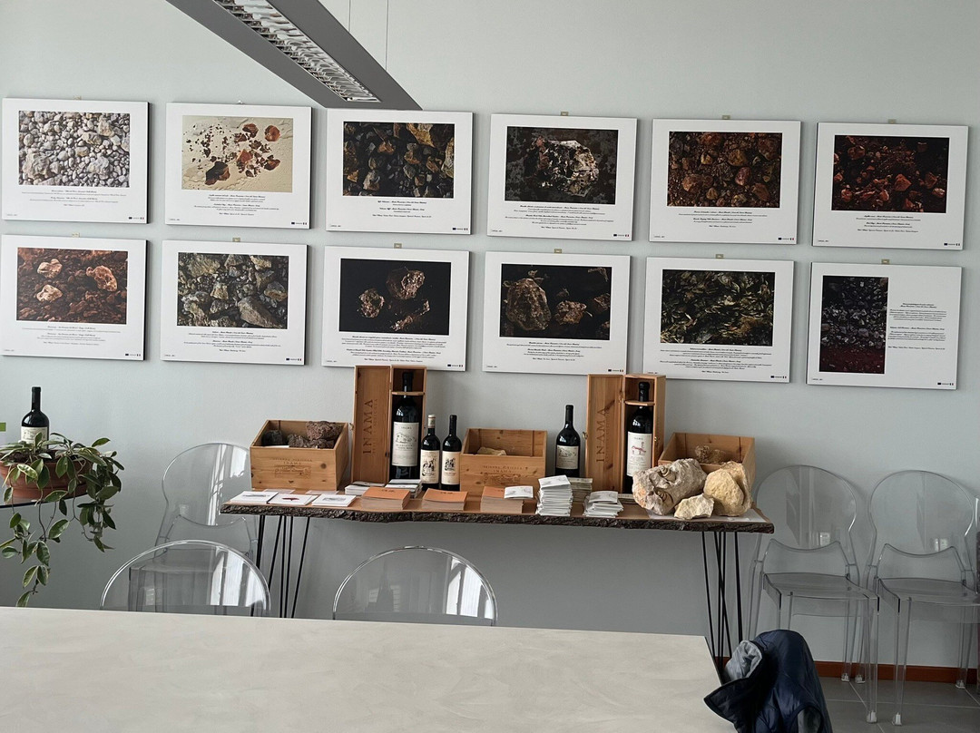 Azienda Agricola Inama景点图片