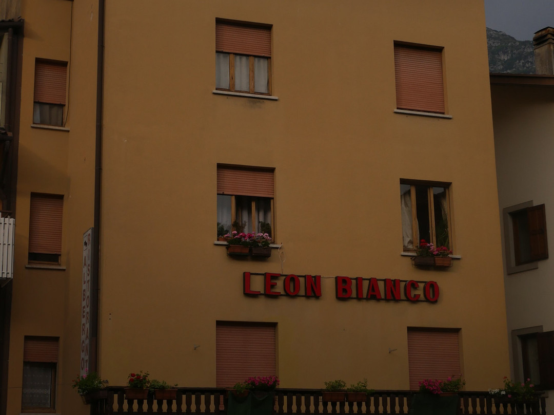 Albergo Ristorante Bar Leon Bianco主图