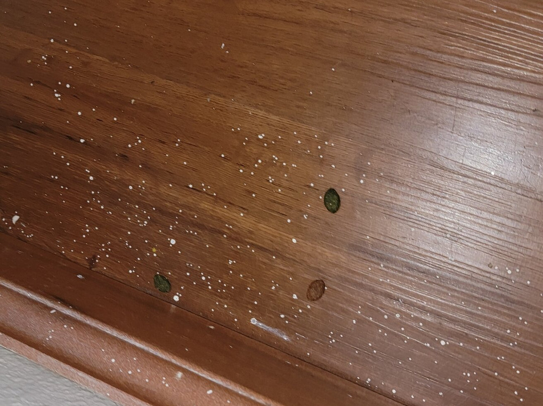 Super 8 by Wyndham Grayson主图