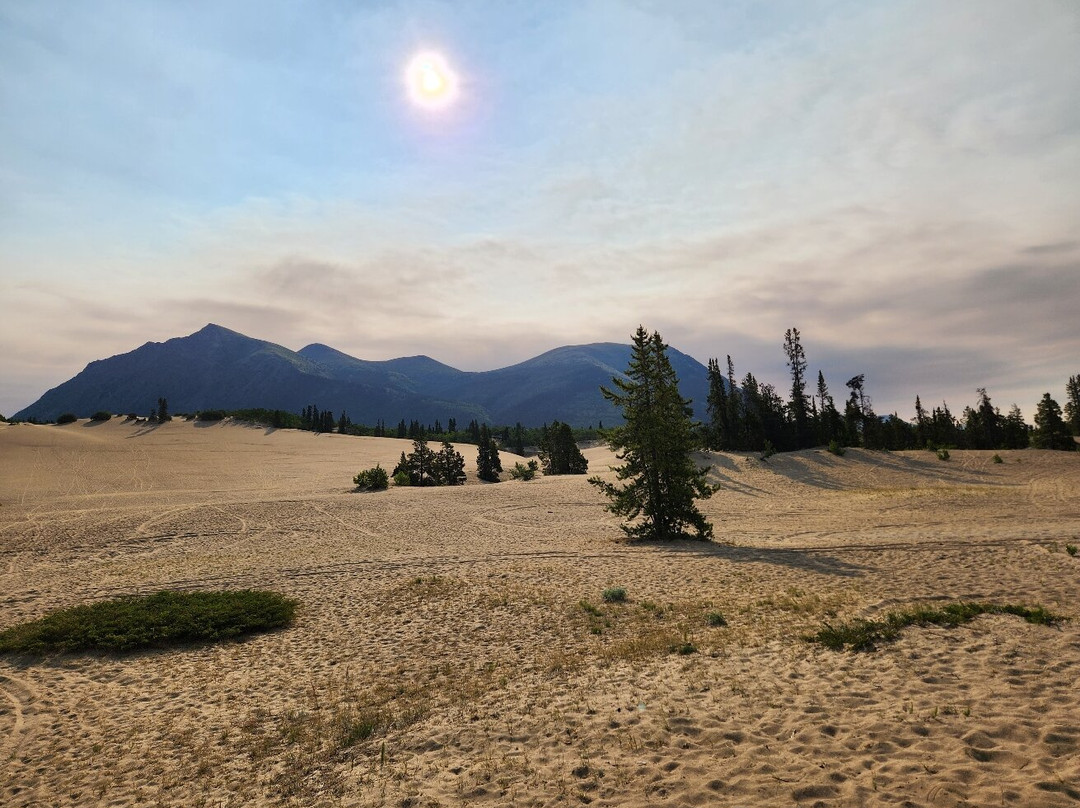 Carcross Desert-Carcross必去景点