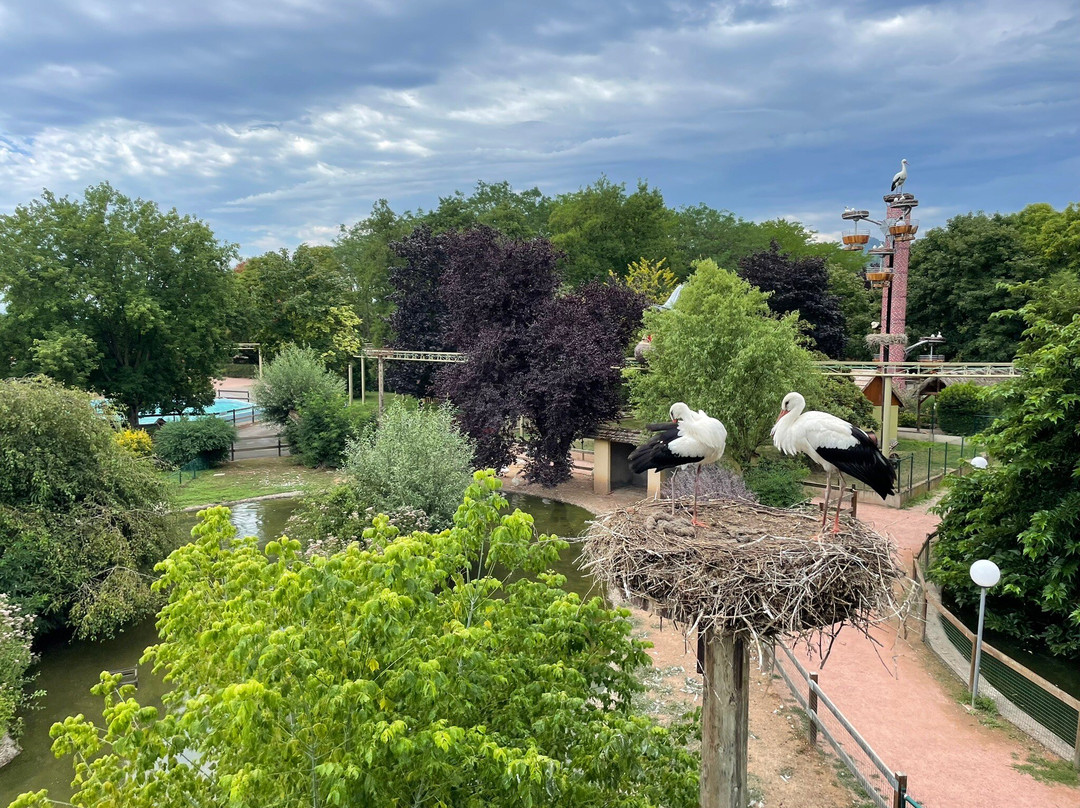 Cigoland - Parc des Cigognes et Attractions景点图片