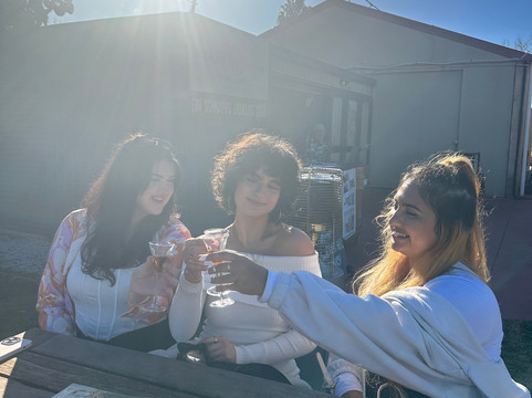 Through The Grapevine Wine Tours and Tastings Mudgee-马奇必去景点