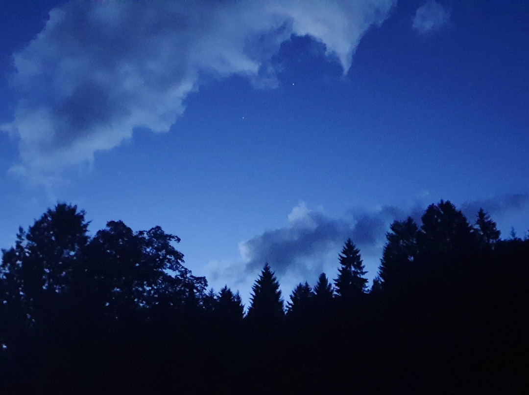 Pension Harrasser主图