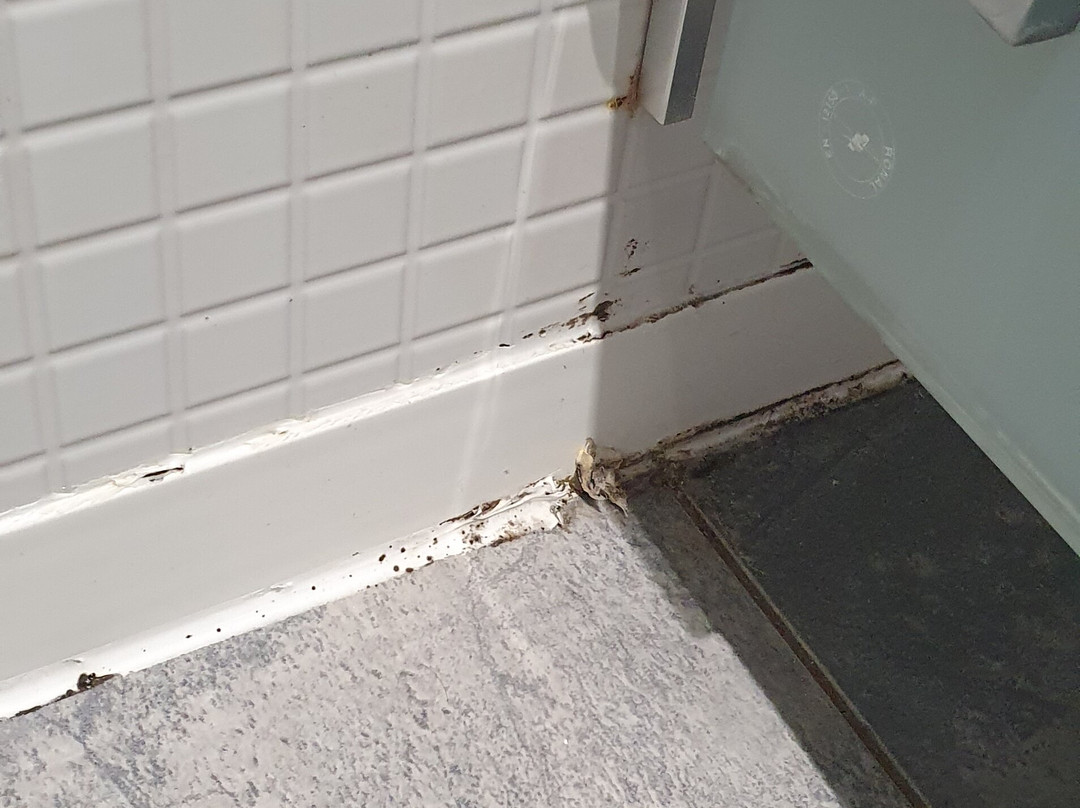 钟楼巴永娜酒店主图