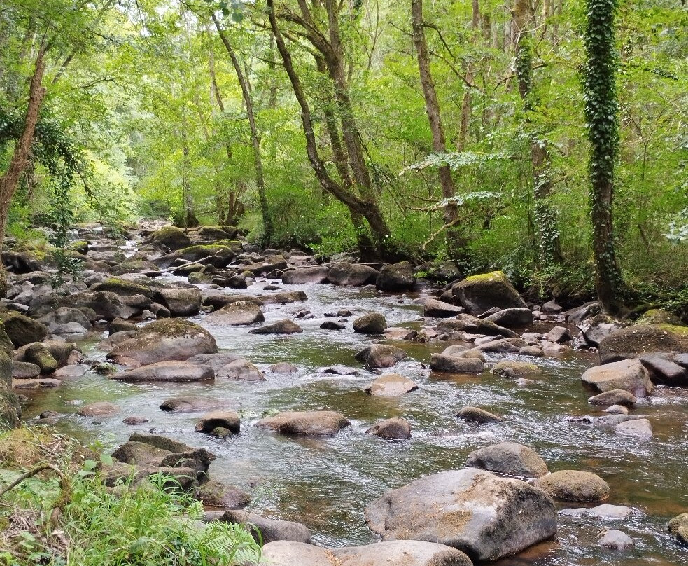 La Roche d'Oetre-Saint-Philbert-sur-Orne必去景点