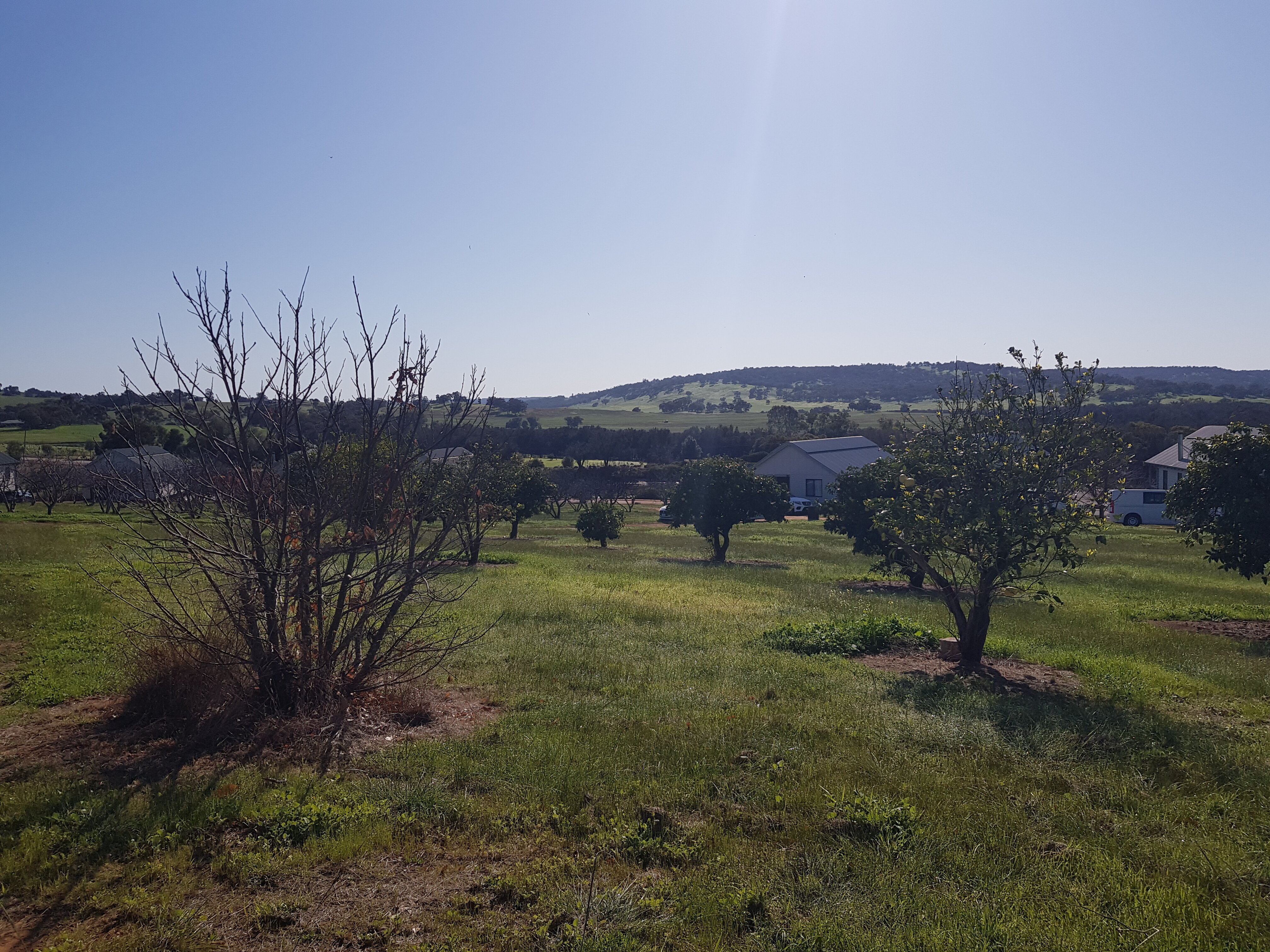 Orchard Glory Farm Resort-官方
