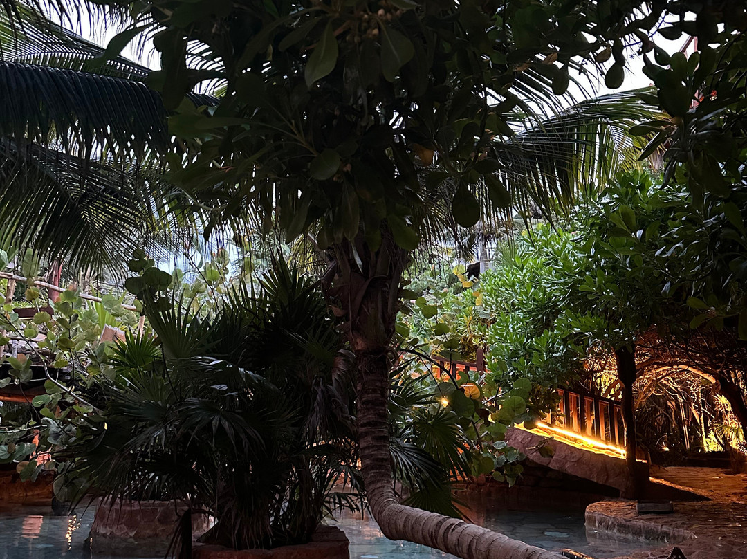 Kanan Tulum Hotel & Spa主图