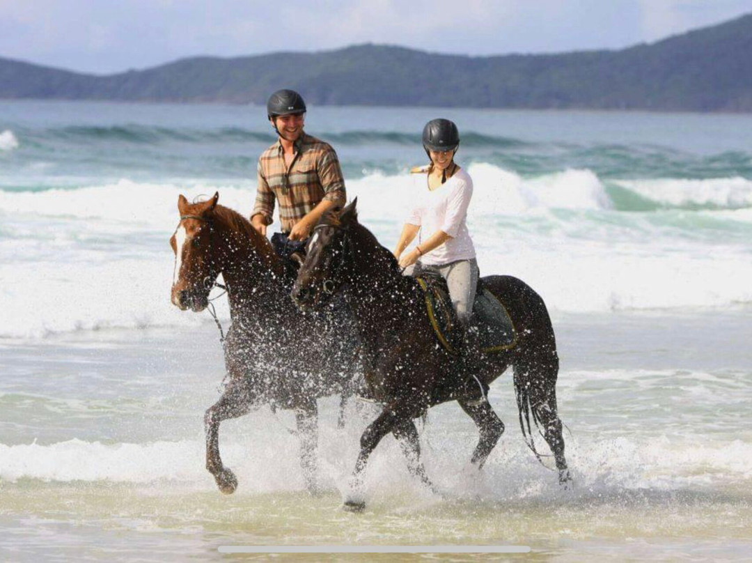 Nabil Tour And Travel-Wichit必去景点