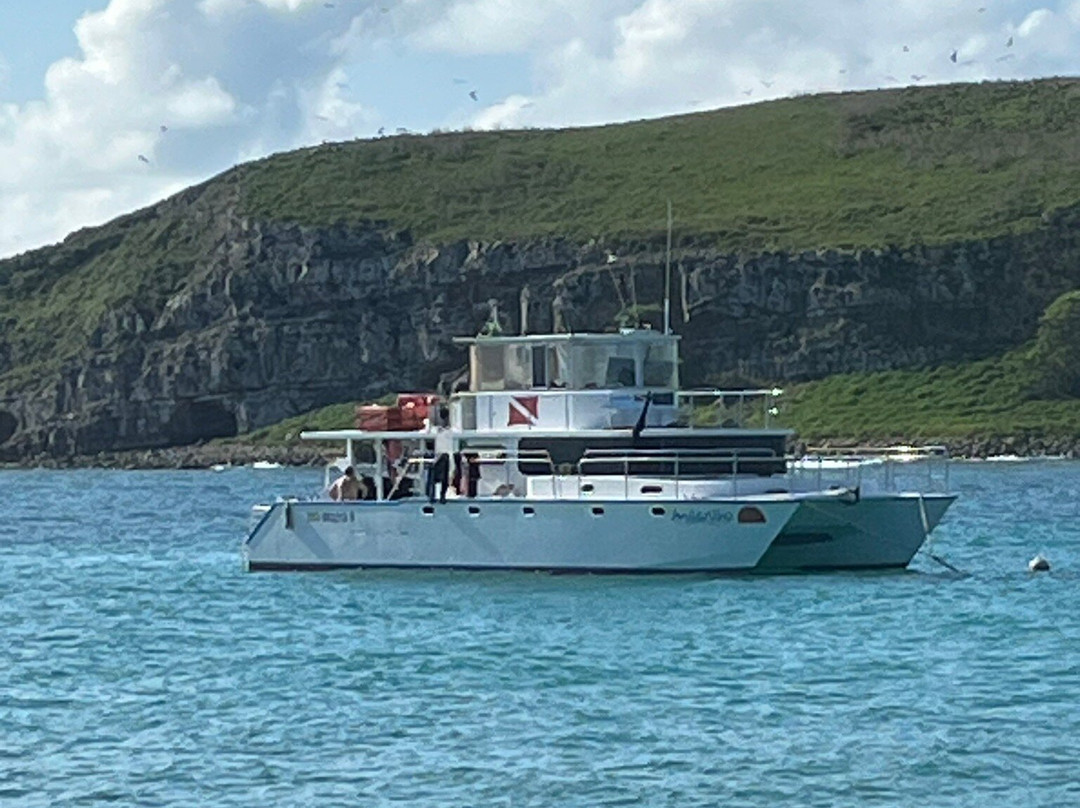 Horizonte Aberto - Catamarans-Caravelas必去景点