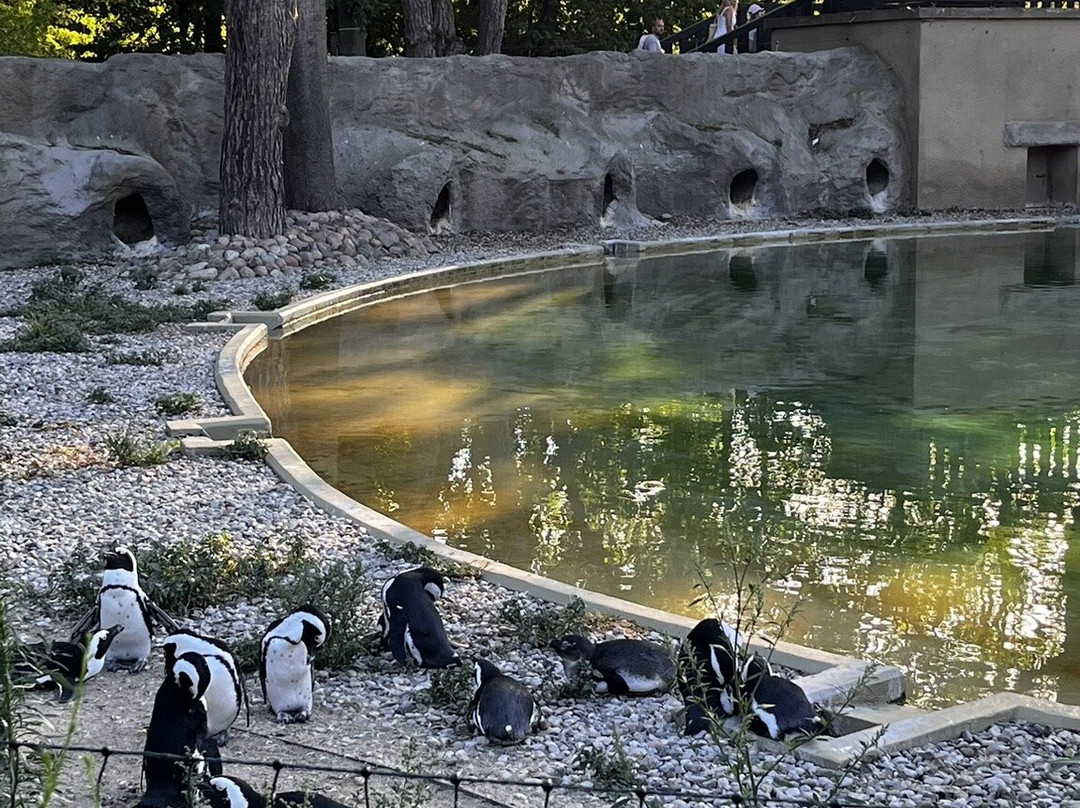 Orientarium Zoo Lodz-罗兹必去景点