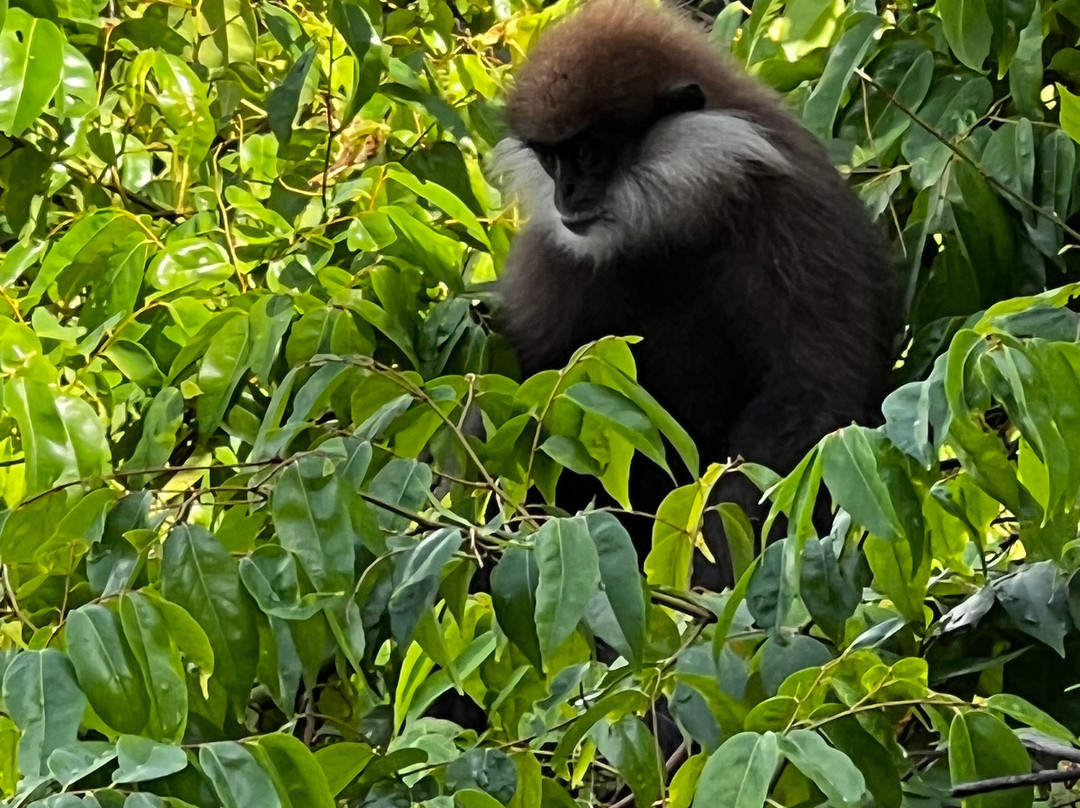 Heritance Kandalama Spa-丹布拉必去景点