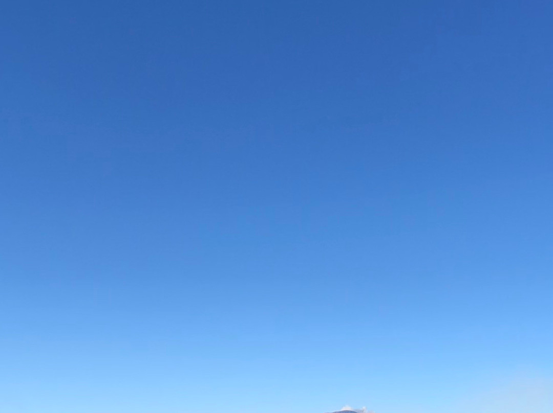 East Journey Travel-泗水必去景点