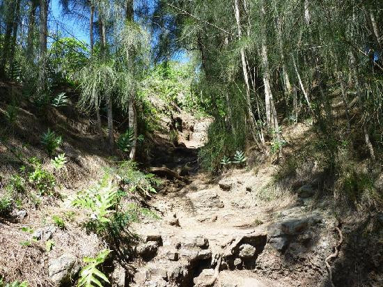 水手山脊小路-火奴鲁鲁必去景点