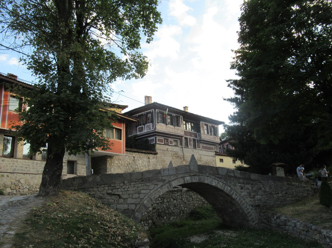 Parva Pushka