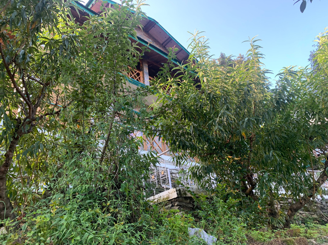 The Green Village Eco Resort主图