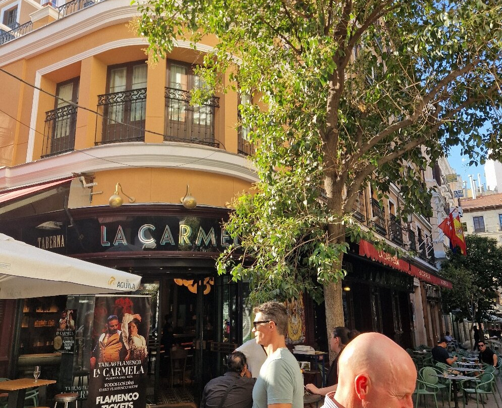 Tablao Flamenco La Carmela-马德里必去景点