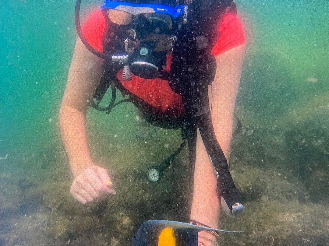 Bermuda Diving Center-迪拜必去景点