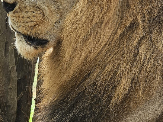 Hotel Riu Baobab主图