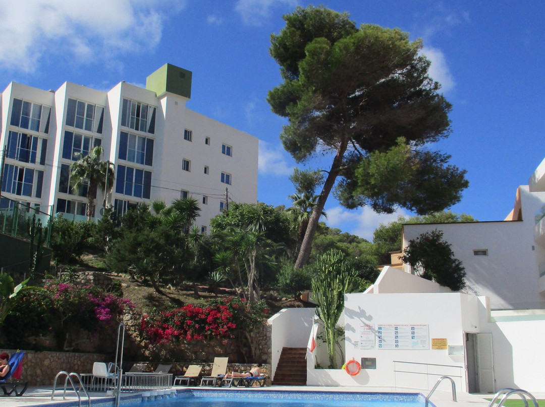 Hotel Apartamentos El Pinar主图