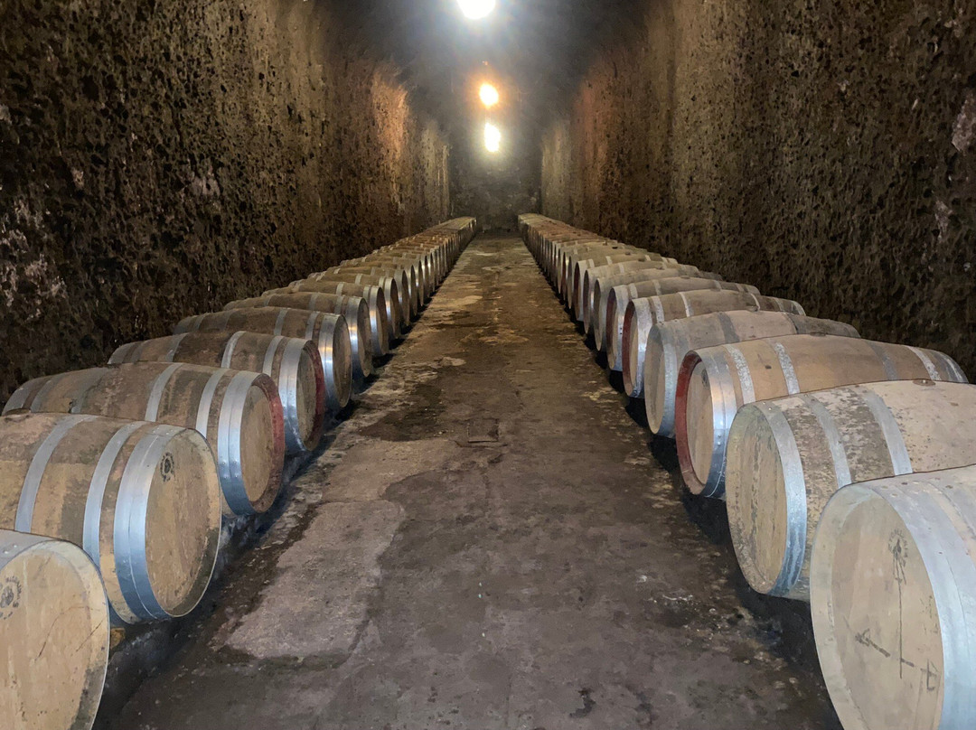 Bodegas Bilbainas-哈罗必去景点