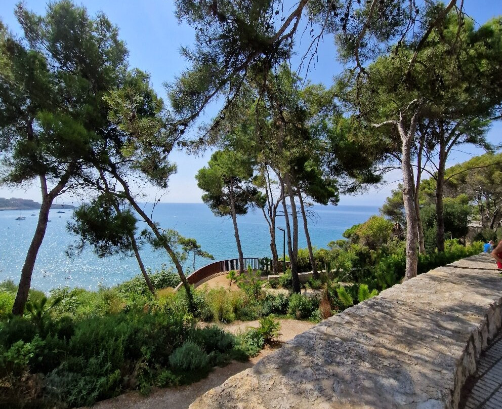 Llarga Beach景点图片